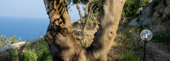 GAY-TANTRA Urlaub & Seminar auf Ischia bei Neapel [IT]